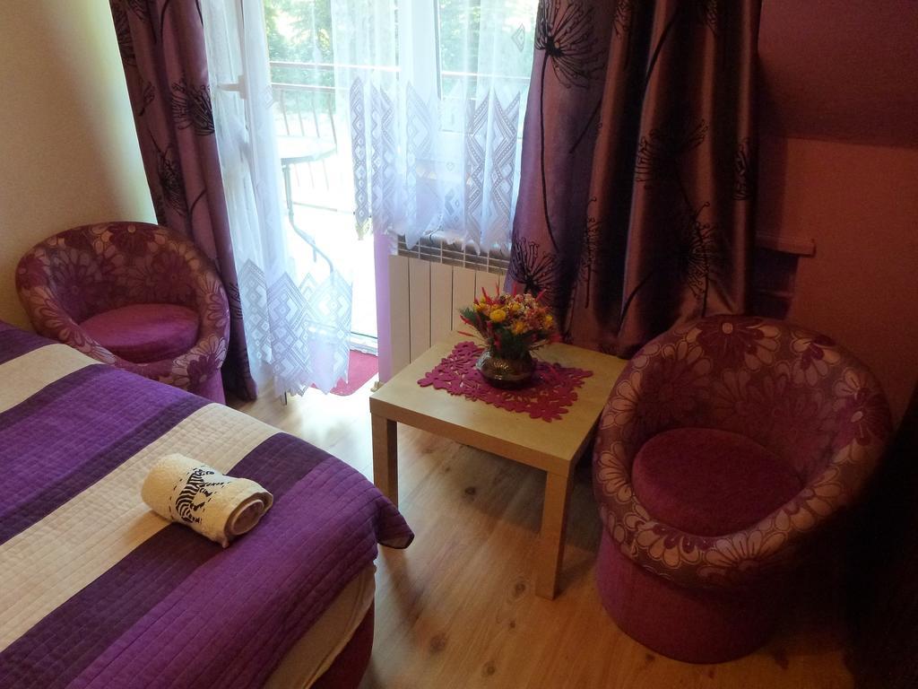 Pokoje Goscinne Vida Krynica Zdroj Room photo