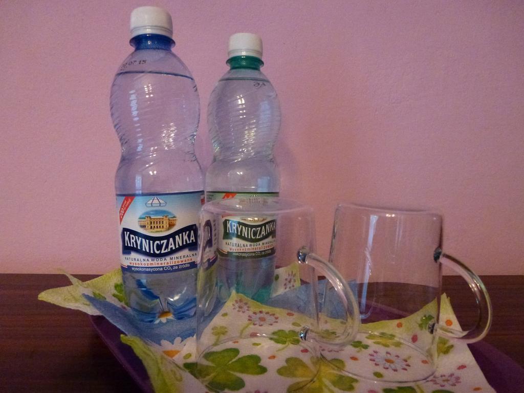 Pokoje Goscinne Vida Krynica Zdroj Room photo